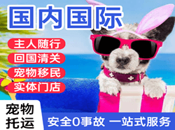 阆中古城航空物流国际宠物托运 【国